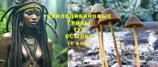 шишки Зерноград