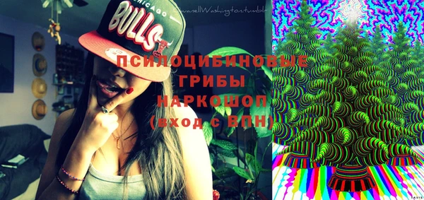 СК Зеленодольск