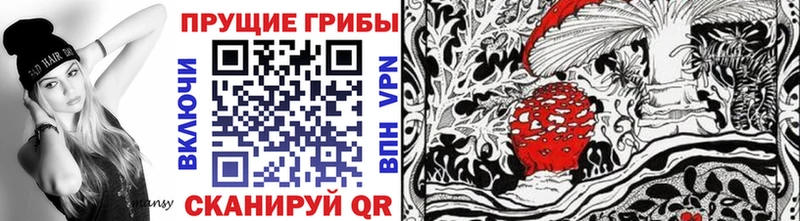 Купить закладки  Железноводск  Псилоцибиновые грибы Psilocybine cubensis 