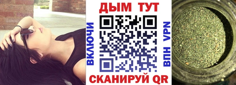 Купить закладки  Железноводск  Конопля семена 